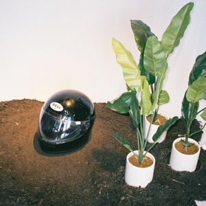 Meet your Posher, Omari